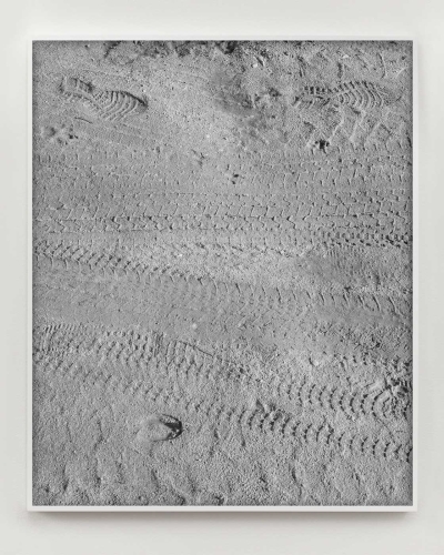 https://theadlerindex.com/files/gimgs/th-5_drawing no_ 35 (animals) tracks briefly frozen in the midwinter mud.jpg